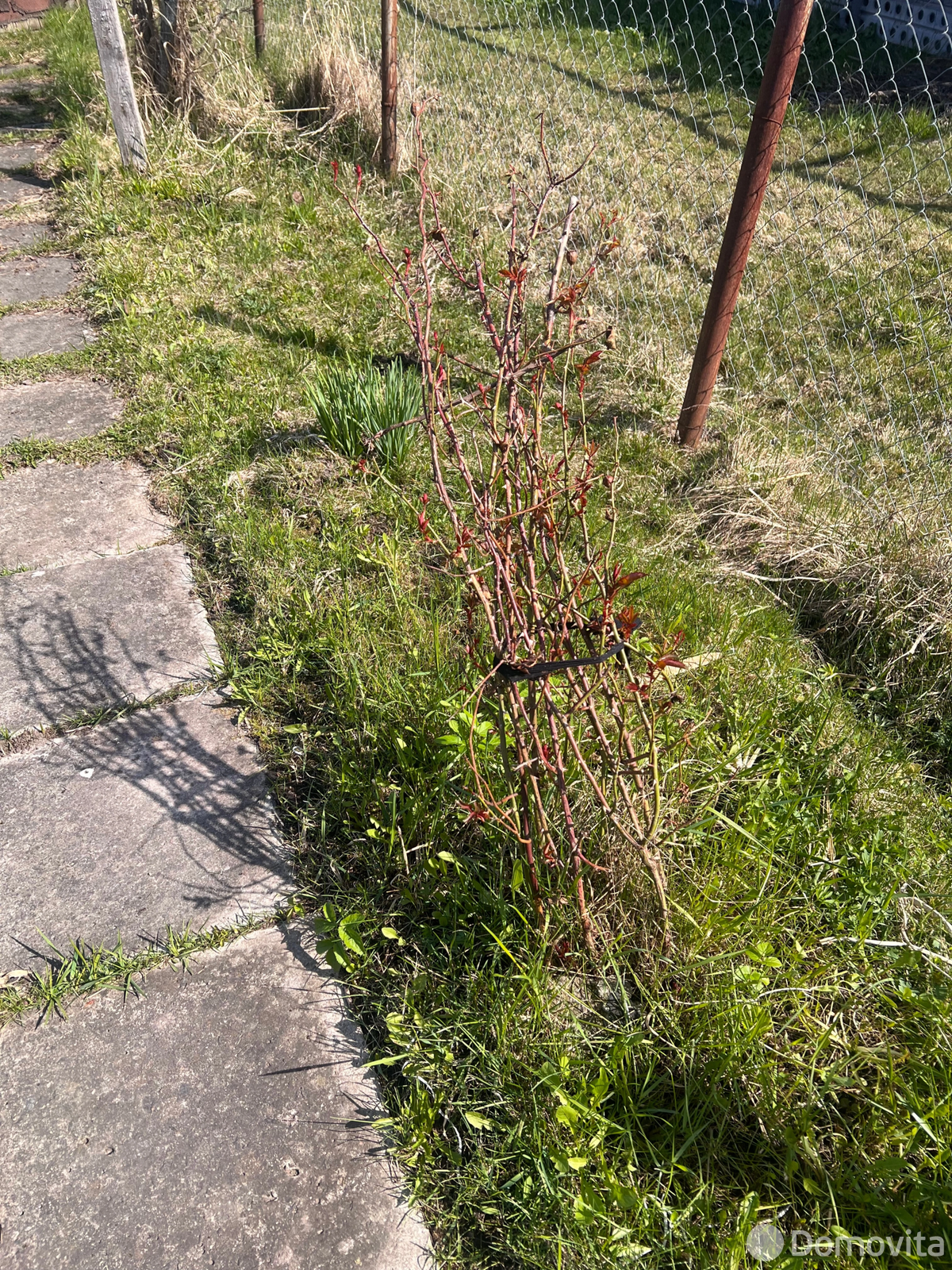 Купить 1-этажную дачу в Зароновка-1 Витебская область, 5700USD, код 185617 - фото 27