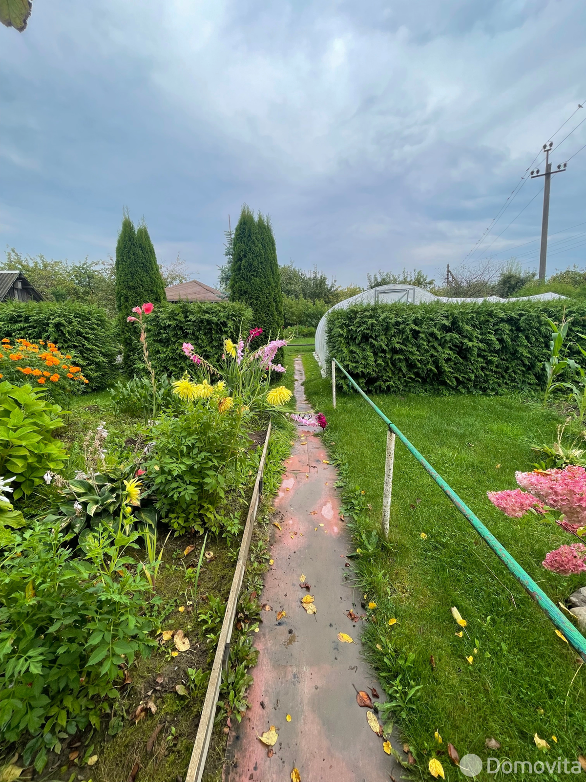 дача, Колосок, 