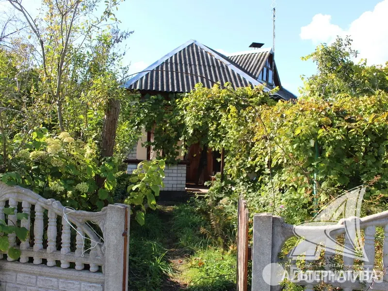 Купить 1-этажную дачу в Заречное-2008 Брестская область, 16000USD, код 180716 - фото 3