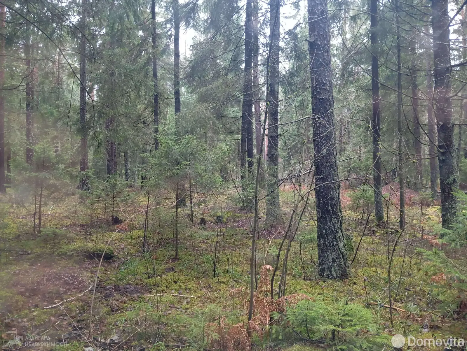 Продажа 2-этажной дачи в ДАЛЬНИЙ ОСТРОВ Минская область, 8500USD, код 184593 - фото 27