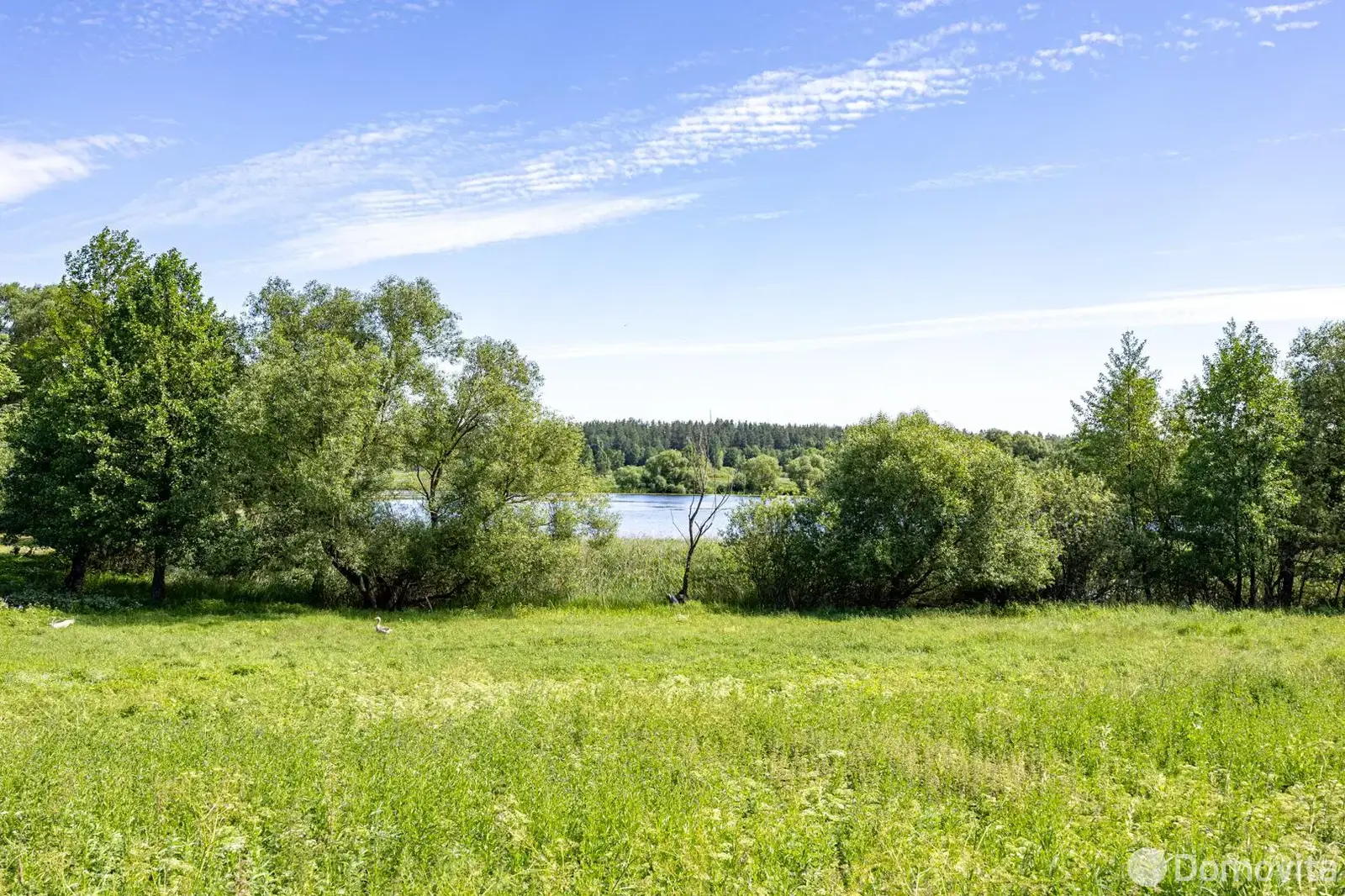 Купить земельный участок, 24.8 соток, Ситники, Минская область, 16000USD, код 570613 - фото 13