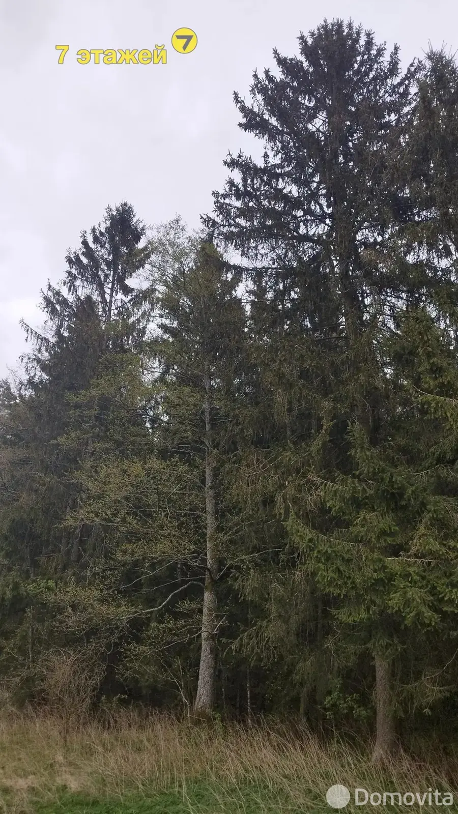 Продажа 2-этажной дачи в Строитель-35 Минская область, 11900USD, код 182703 - фото 18