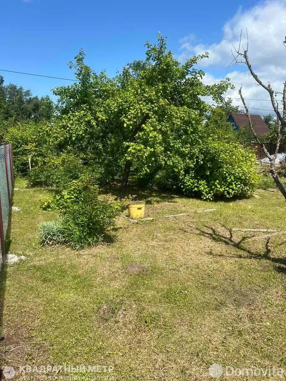 дача, Пралеска-плюс, 