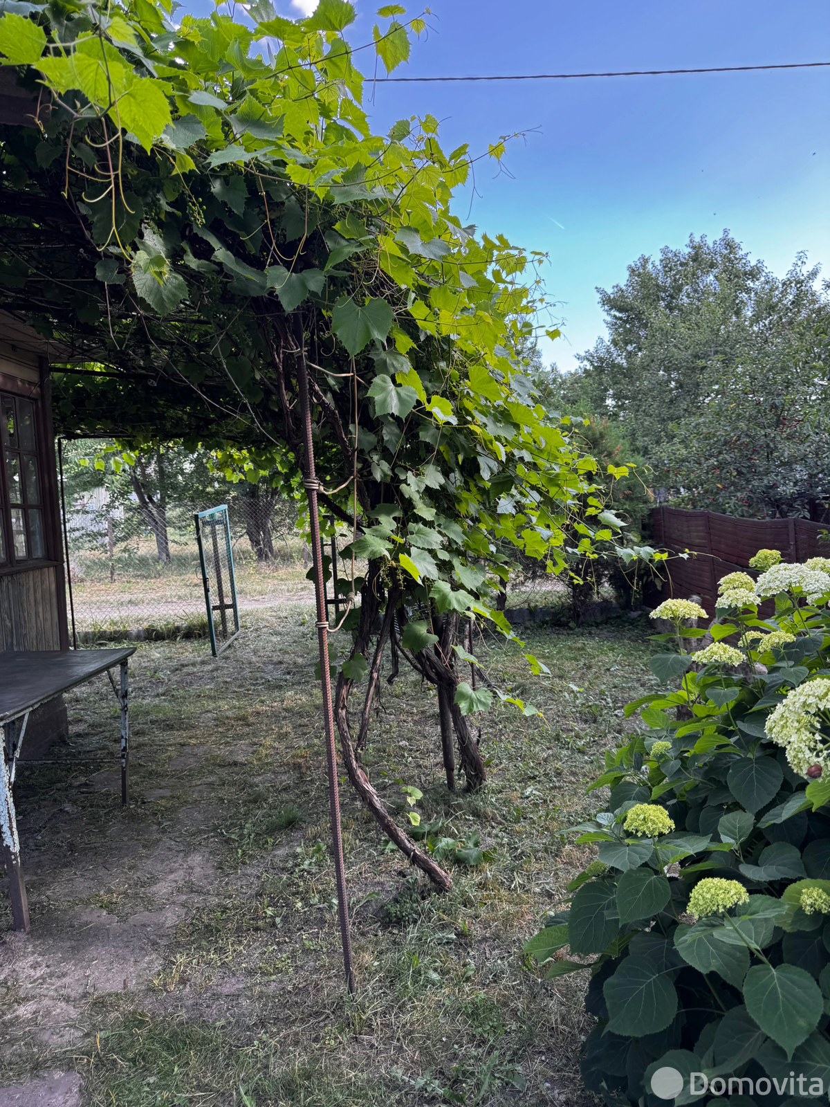 Купить 1-этажную дачу в Гудок-80 Брестская область, 13000USD, код 186400 - фото 16