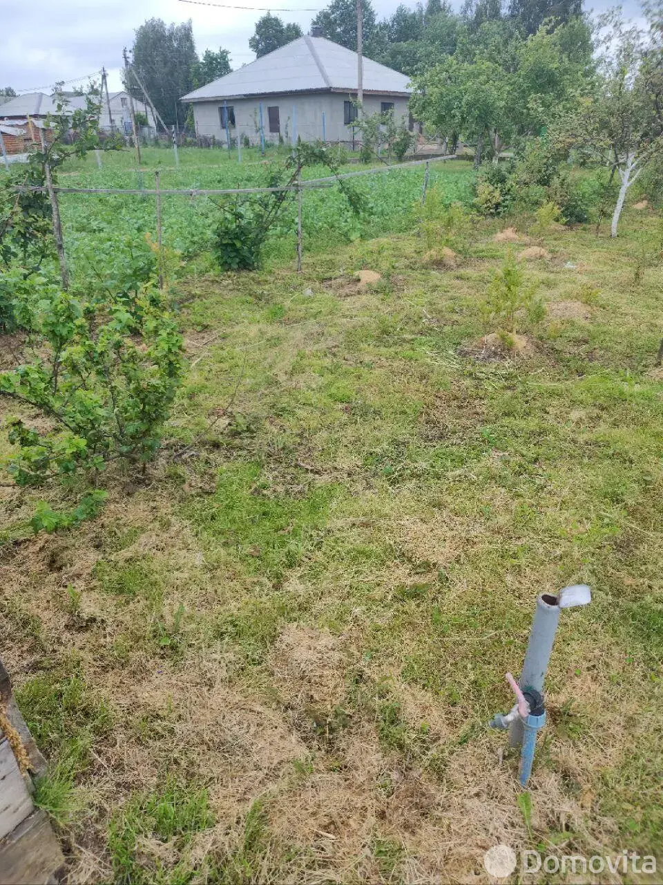 Цена продажи участка, Голубые пруды, 