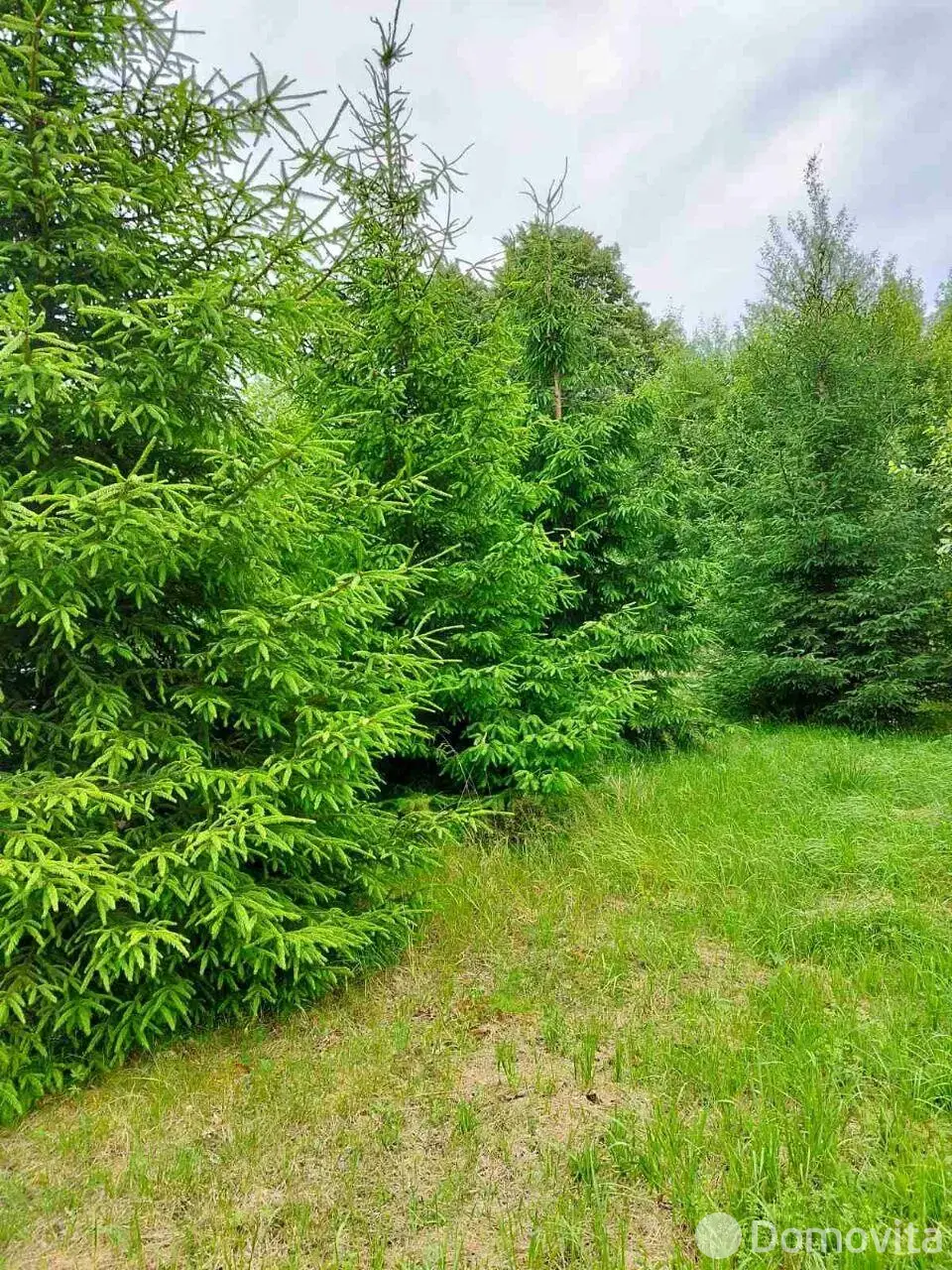 Купить земельный участок, 11 соток, Ласицковщина, Минская область, 24000USD, код 571063 - фото 11