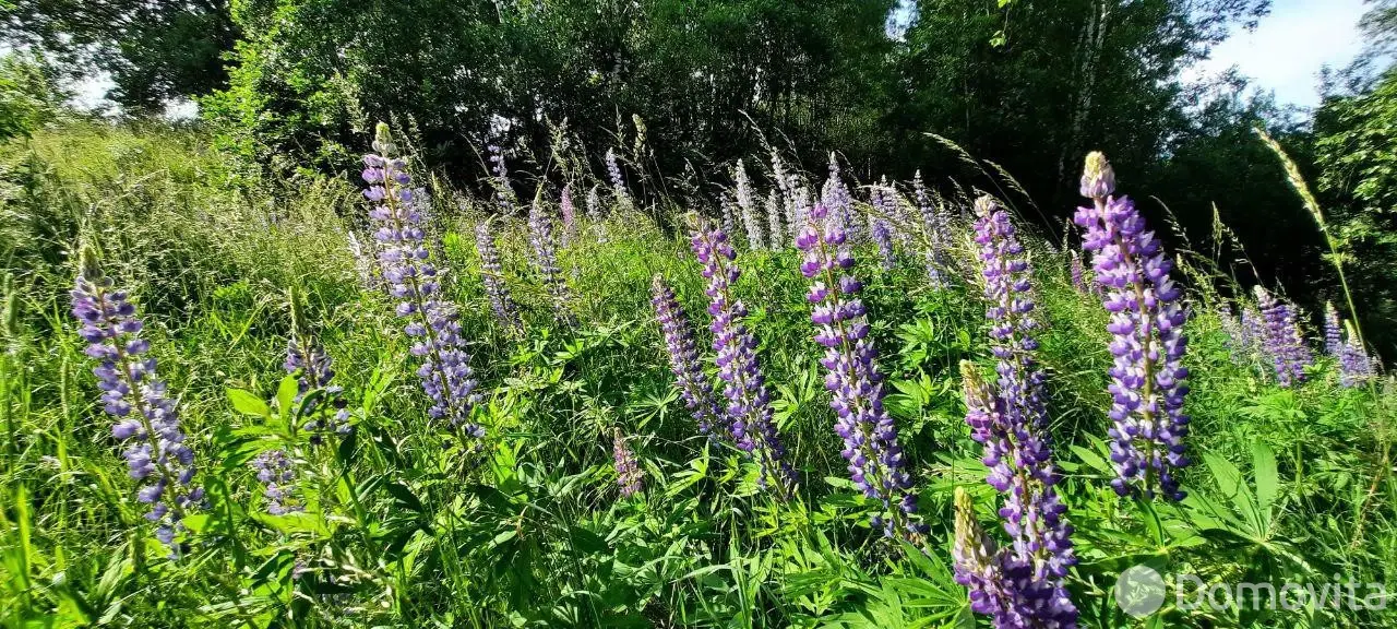 дача, Планета-плюс Воложинский район, , стоимость продажи 31 996 р.