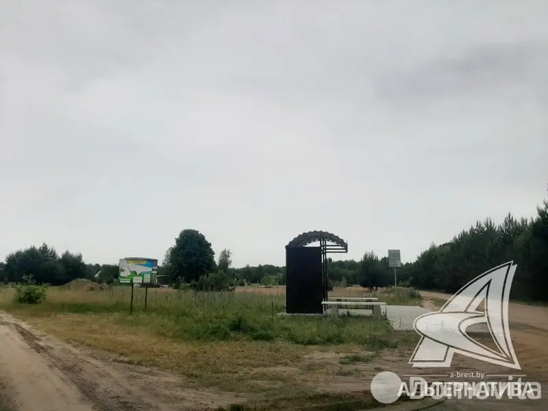 Купить земельный участок, 6 соток, Цветотрон, Брестская область, 22000BYN, код 569944 - фото 11