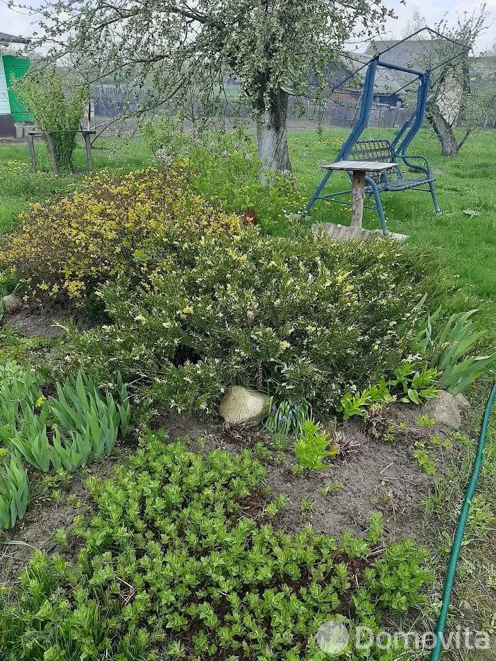 дом, Кнотовщина, ул. Центральная - лучшее предложение