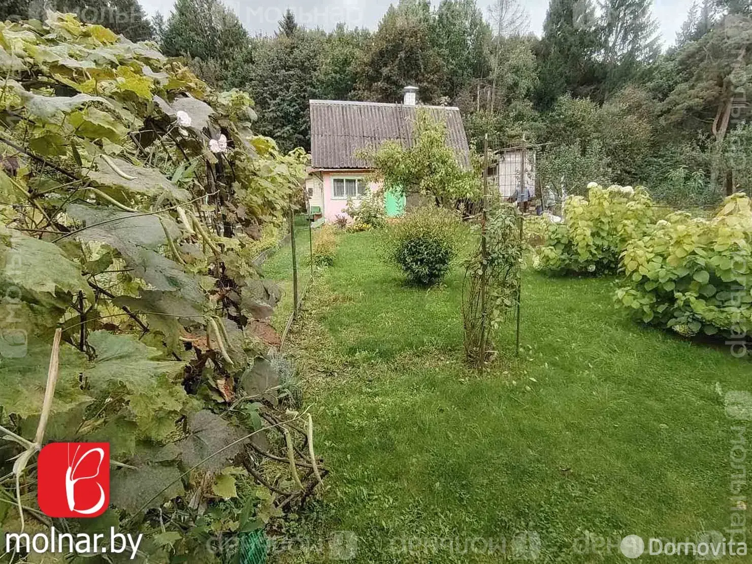 Купить 2-этажную дачу в Анусино Минская область, 17500USD, код 184259 - фото 18