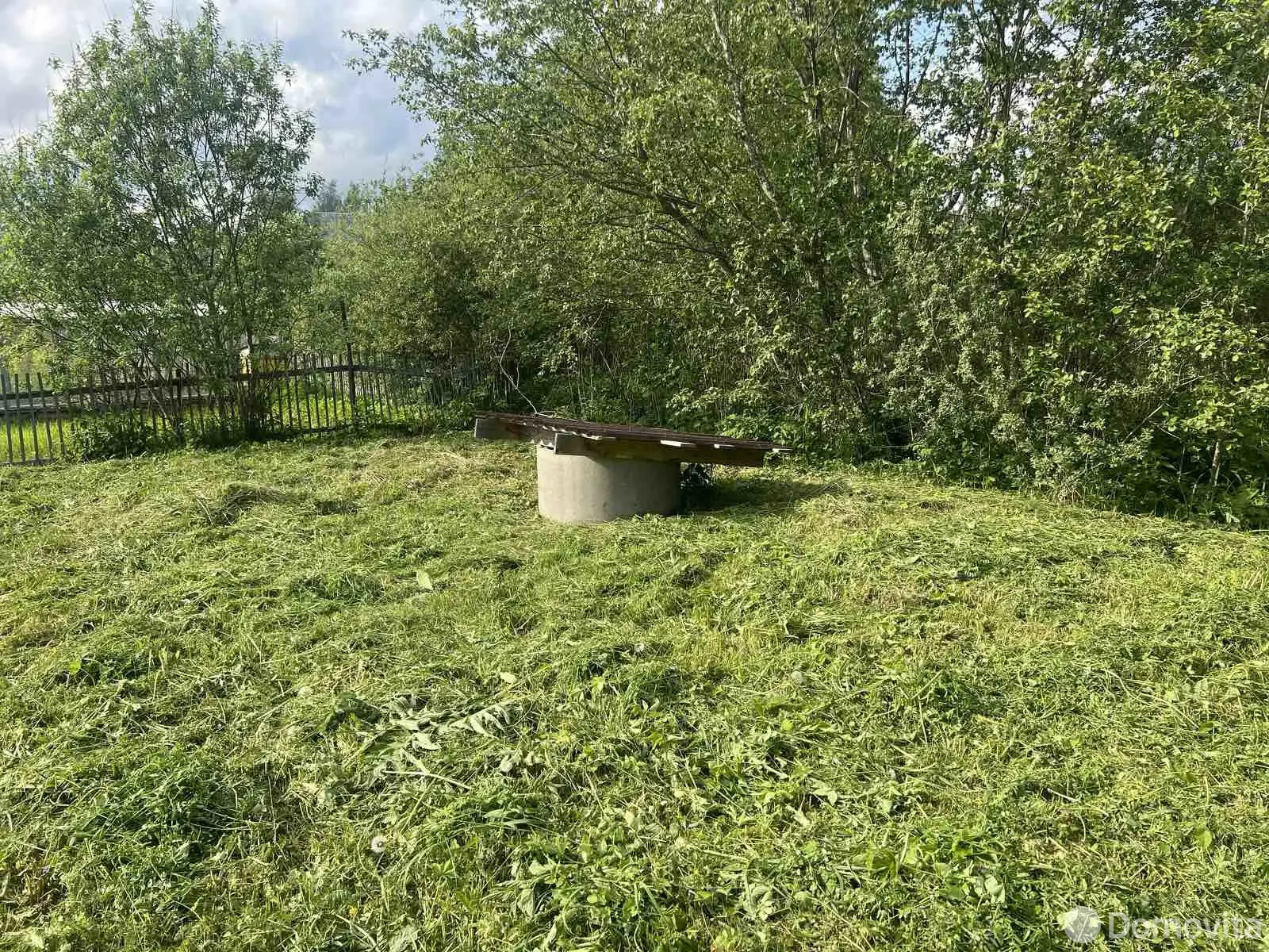 Купить земельный участок, 6 соток, Дрюково, Витебская область, 4500USD, код 569144 - фото 13