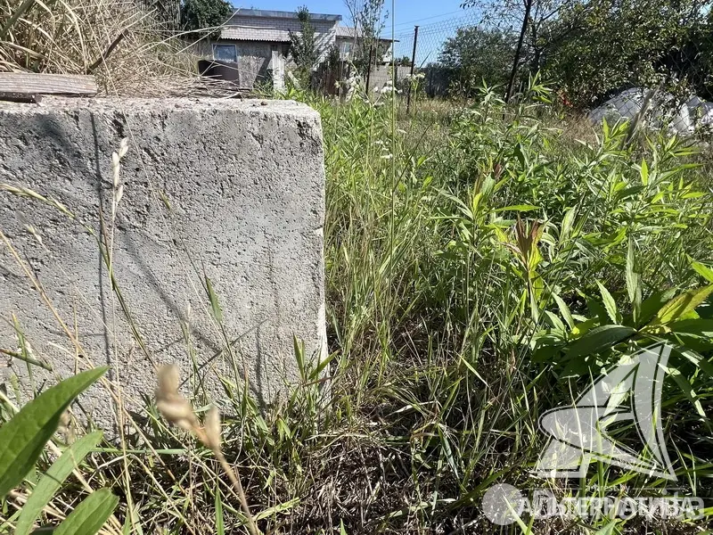 Купить земельный участок, 4.89 соток, Буревестник-86, Брестская область, 44950BYN, код 572358 - фото 13