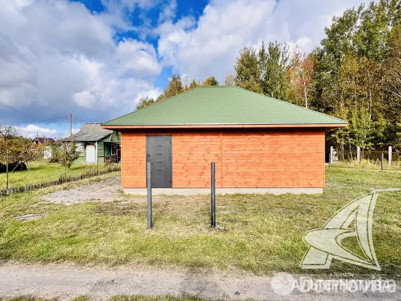 дача, Полиграфист-82,