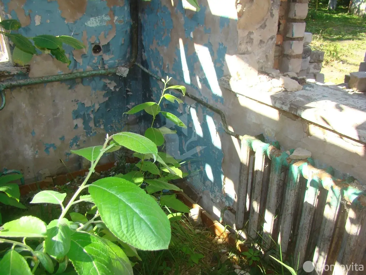 участок, Курково, ул. Песчаная 