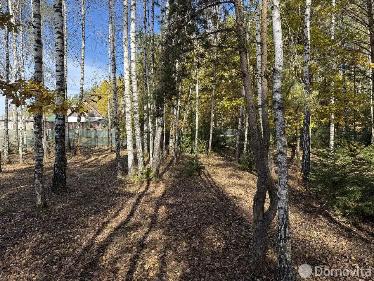 участок, Колодищи, ул. Алмазная 