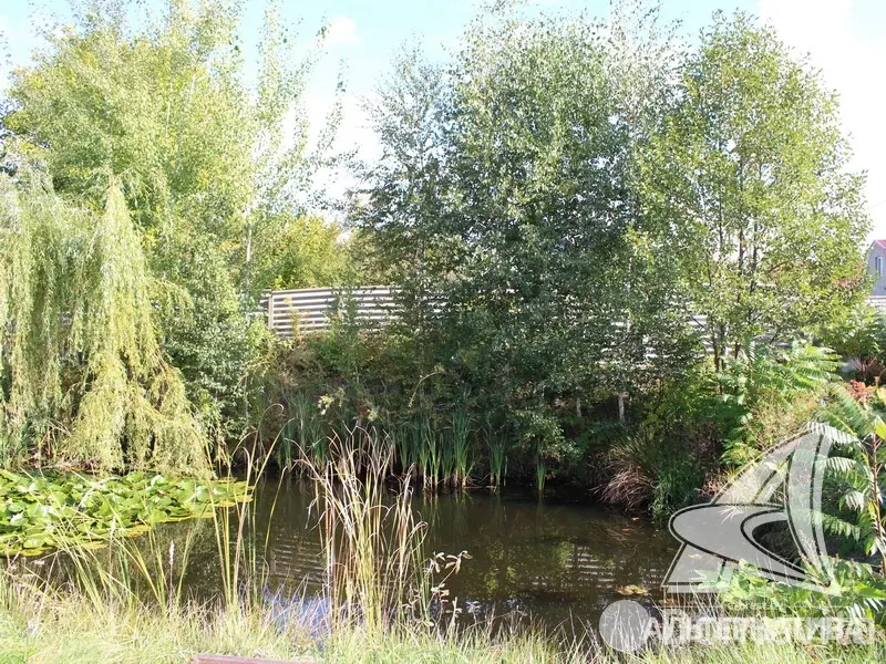 Купить 1-этажную дачу в Бресте Брестская область, 76000USD, код 184315 - фото 23