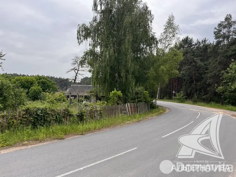 Купить земельный участок, 25 соток, Гули, Брестская область, 44000USD, код 570142 - фото 16