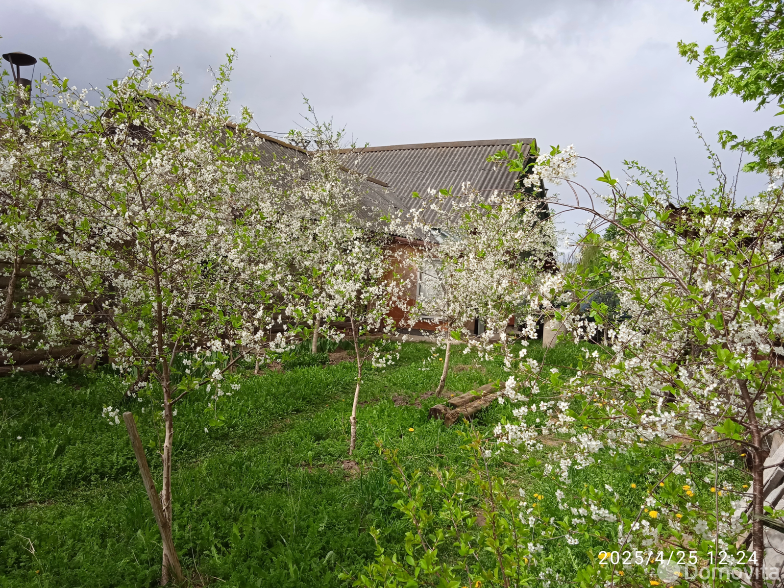 дом, Стаи, ул. Лепельская - лучшее предложение