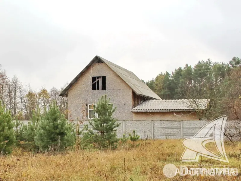 дом, Заболотье,