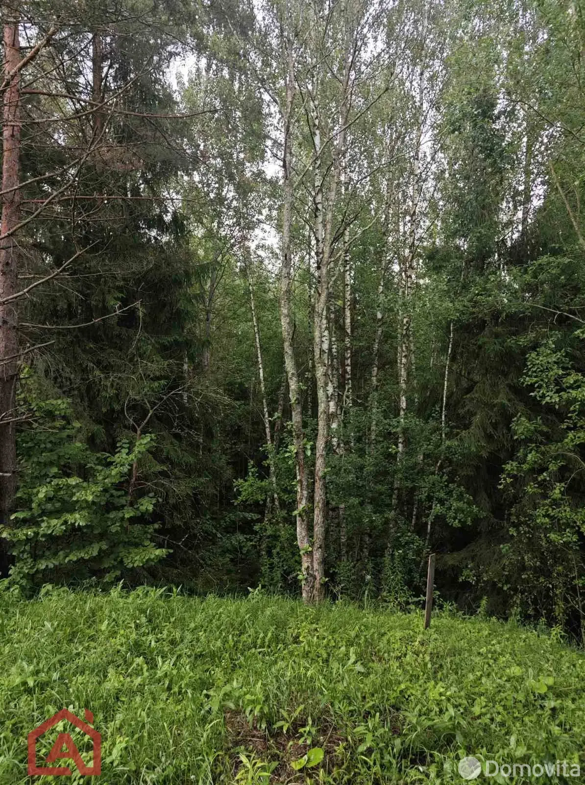 Купить земельный участок, 15 соток, Мончаки, Минская область, 89000USD, код 570778 - фото 14