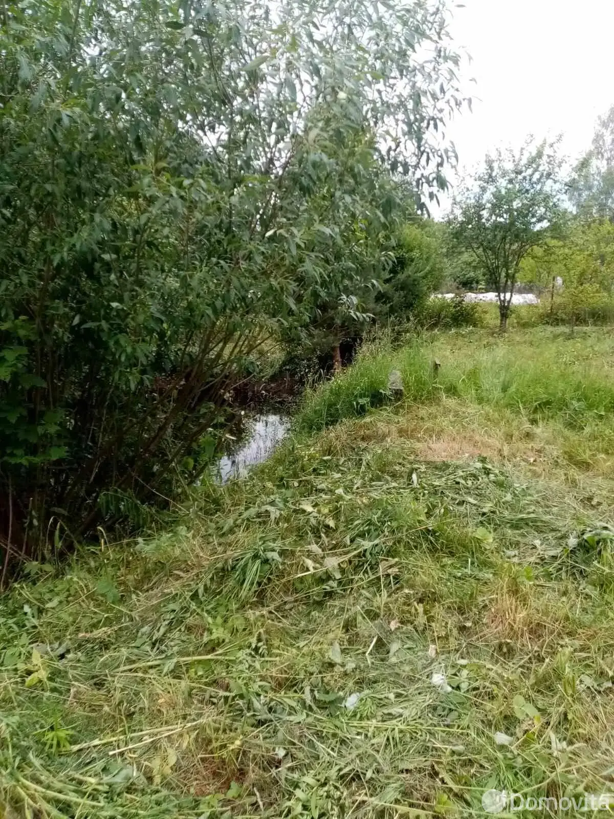 участок, Асвета, 