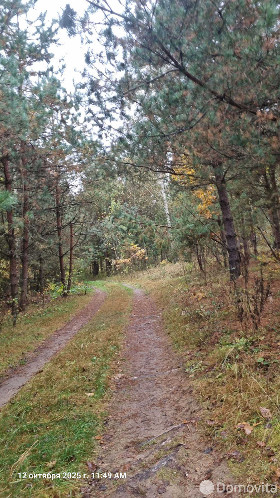 Купить 1-этажную дачу в Великом Поле Минская область, 21000USD, код 185294 - фото 26