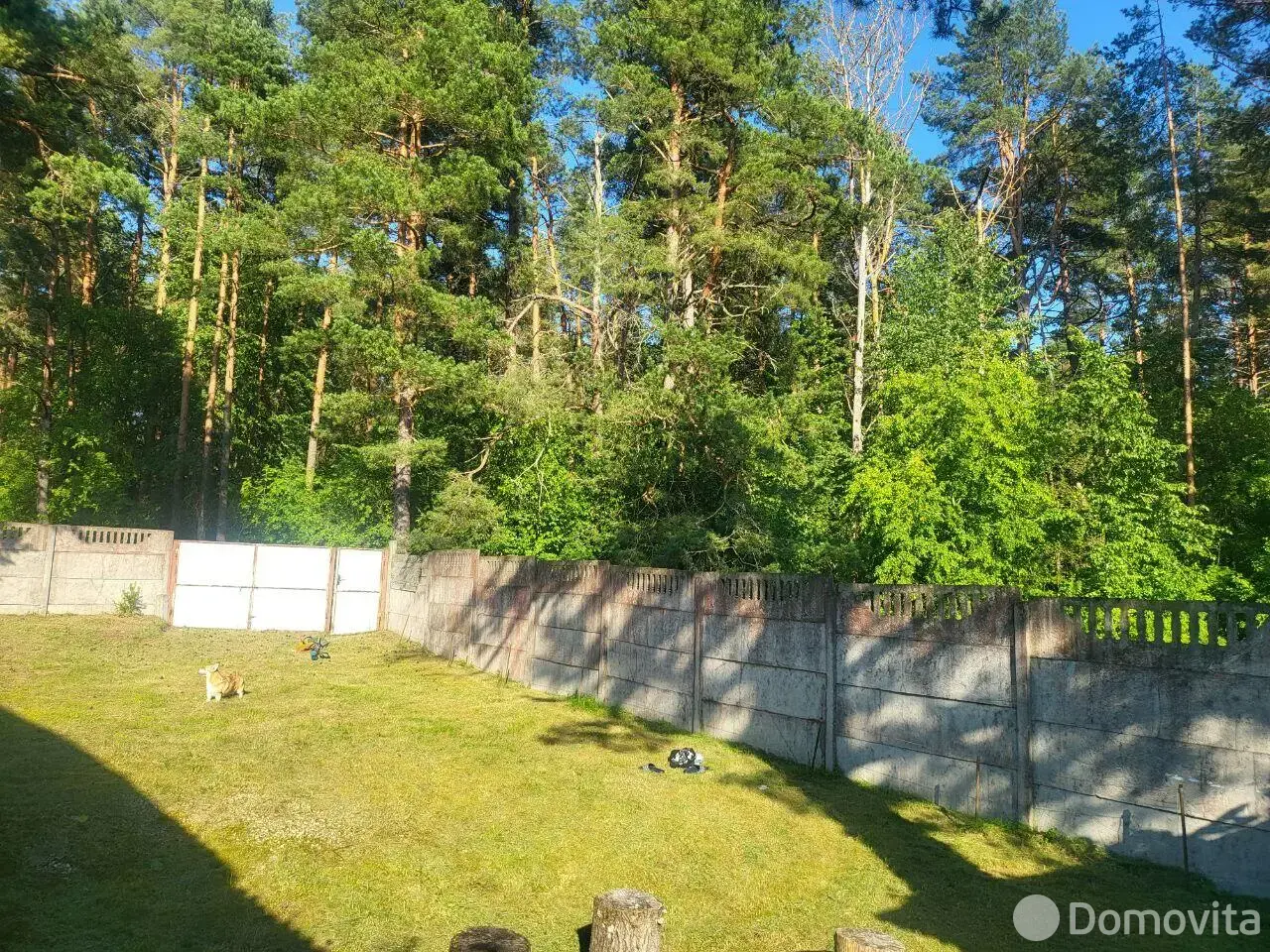 дом, Боровые, д. 18 