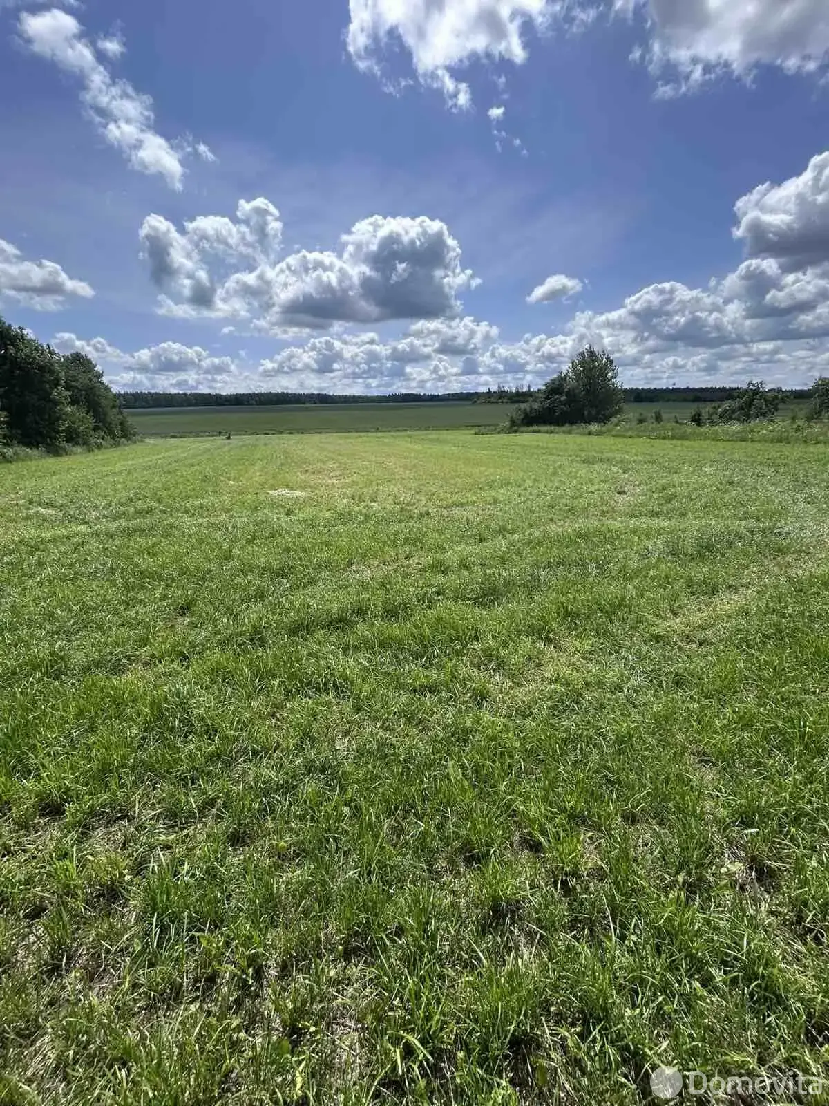 дом, Иваново, ул. Лесная 