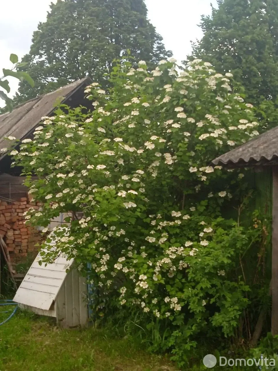 коттедж, Фильяново, без посредников