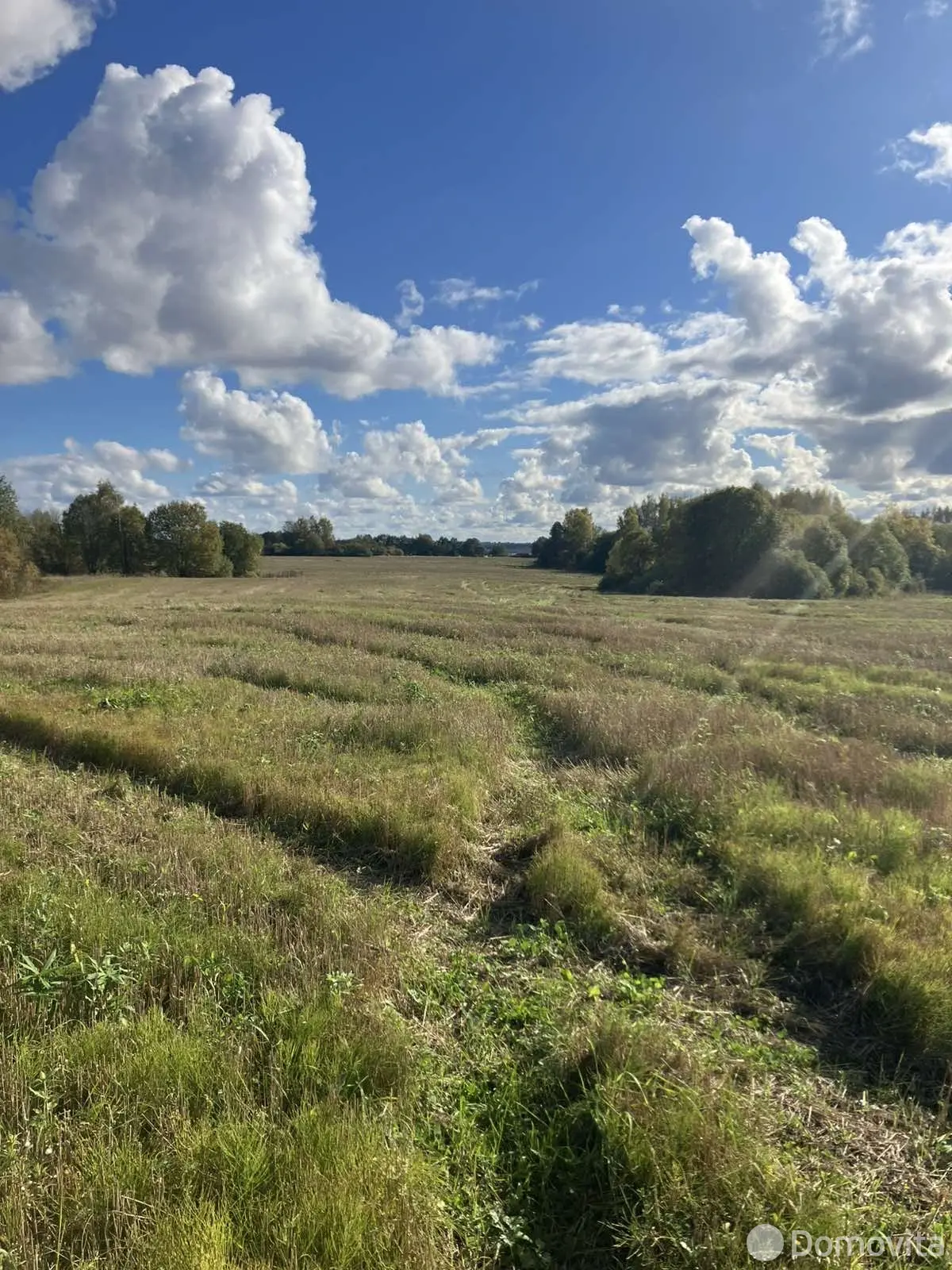 Купить земельный участок, 16 соток, Гольница, Витебская область, 4500USD, код 571126 - фото 12