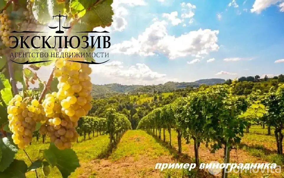 Купить земельный участок, 25 соток, Гиревичи, Минская область, 140000BYN, код 572180 - фото 33