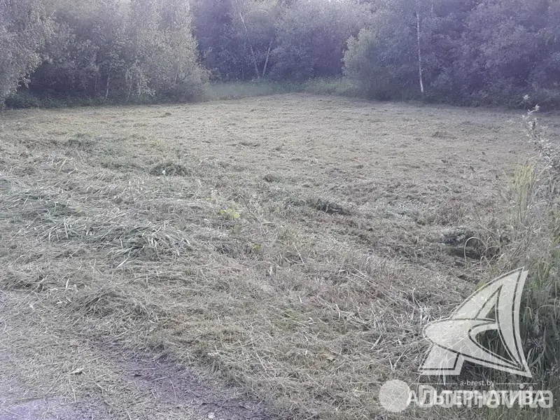 участок, Ранет-94,