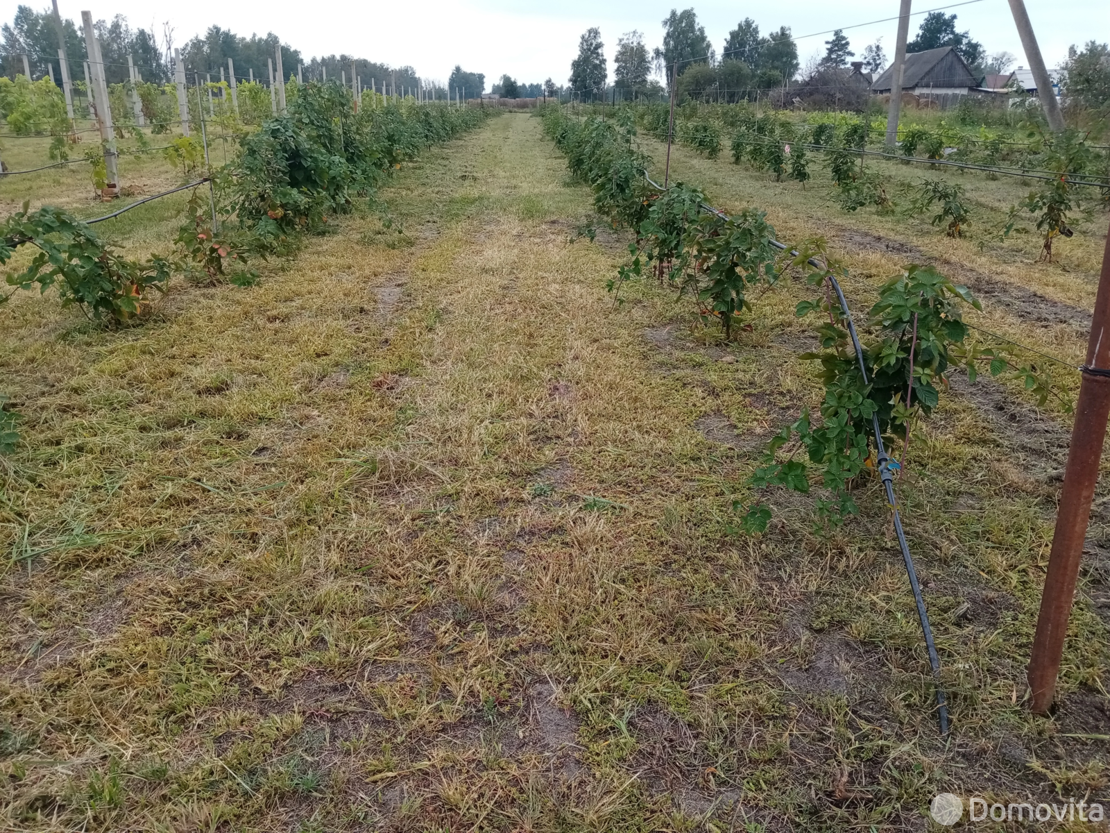 Стоимость продажи коттеджа, Ляховцы, ул. Комсомольская, д. 56