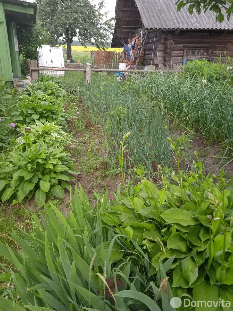 коттедж, Фильяново, без посредников