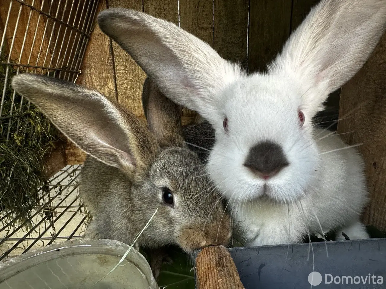  Коттедж Раиса на сутки в Бресте ул. Вересковая 6-я, д. 18, 450BYN, код 1431 - фото 18