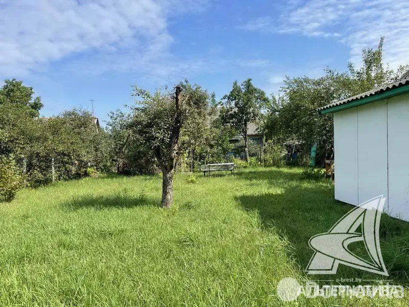 Продажа 1-этажной дачи в Машиностроитель Брестская область, 15200USD, код 179409 - фото 10