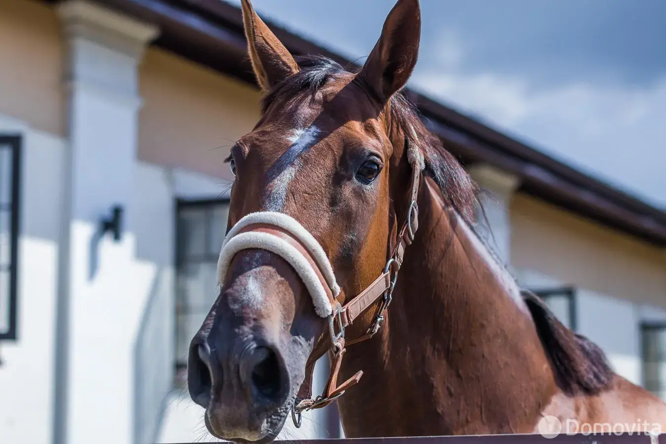 Купить помещение под сферу услуг в Ратомке, ул. Новая, д. 20/а - фото 31