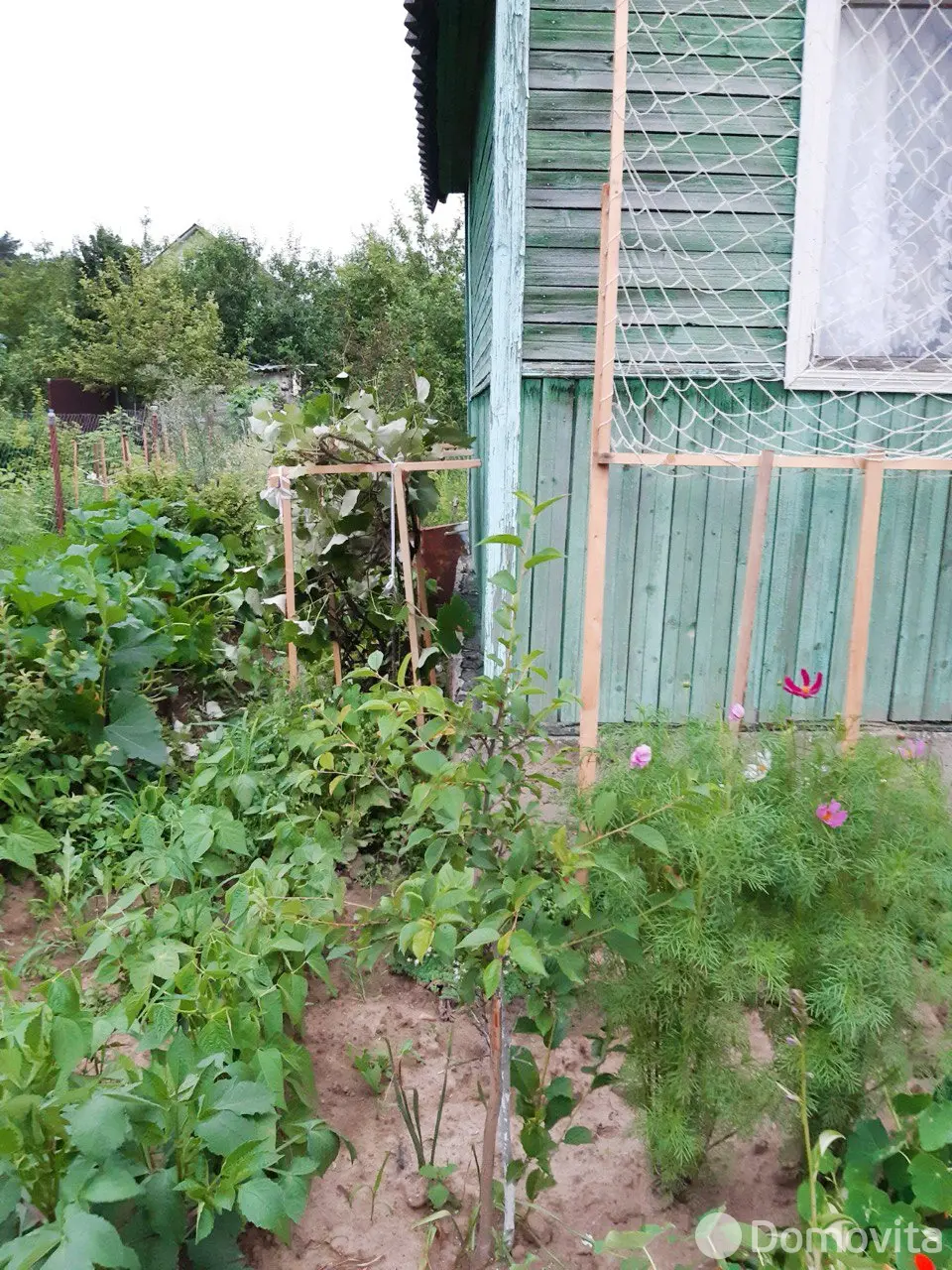 участок, Летний вечер, 