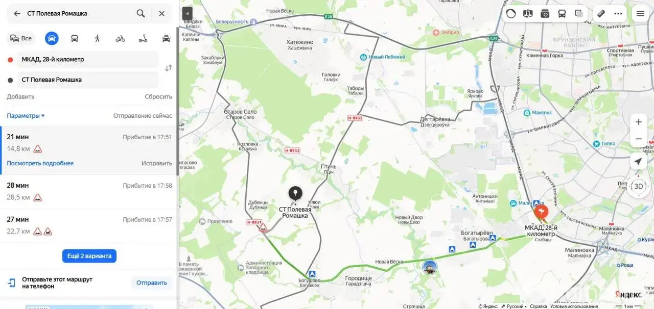 дача, Полевая ромашка,