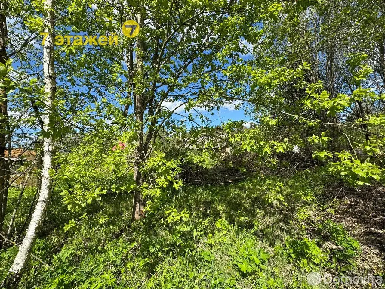 Купить земельный участок, 6.15 соток, ПРОЛЕСКА ЦКБ, Минская область, 7800USD, код 570375 - фото 12