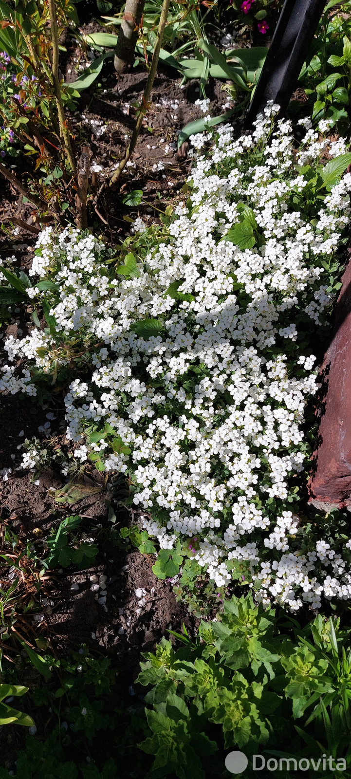 Купить 2-этажную дачу в Солигорске Минская область, 6900USD, код 182565 - фото 11
