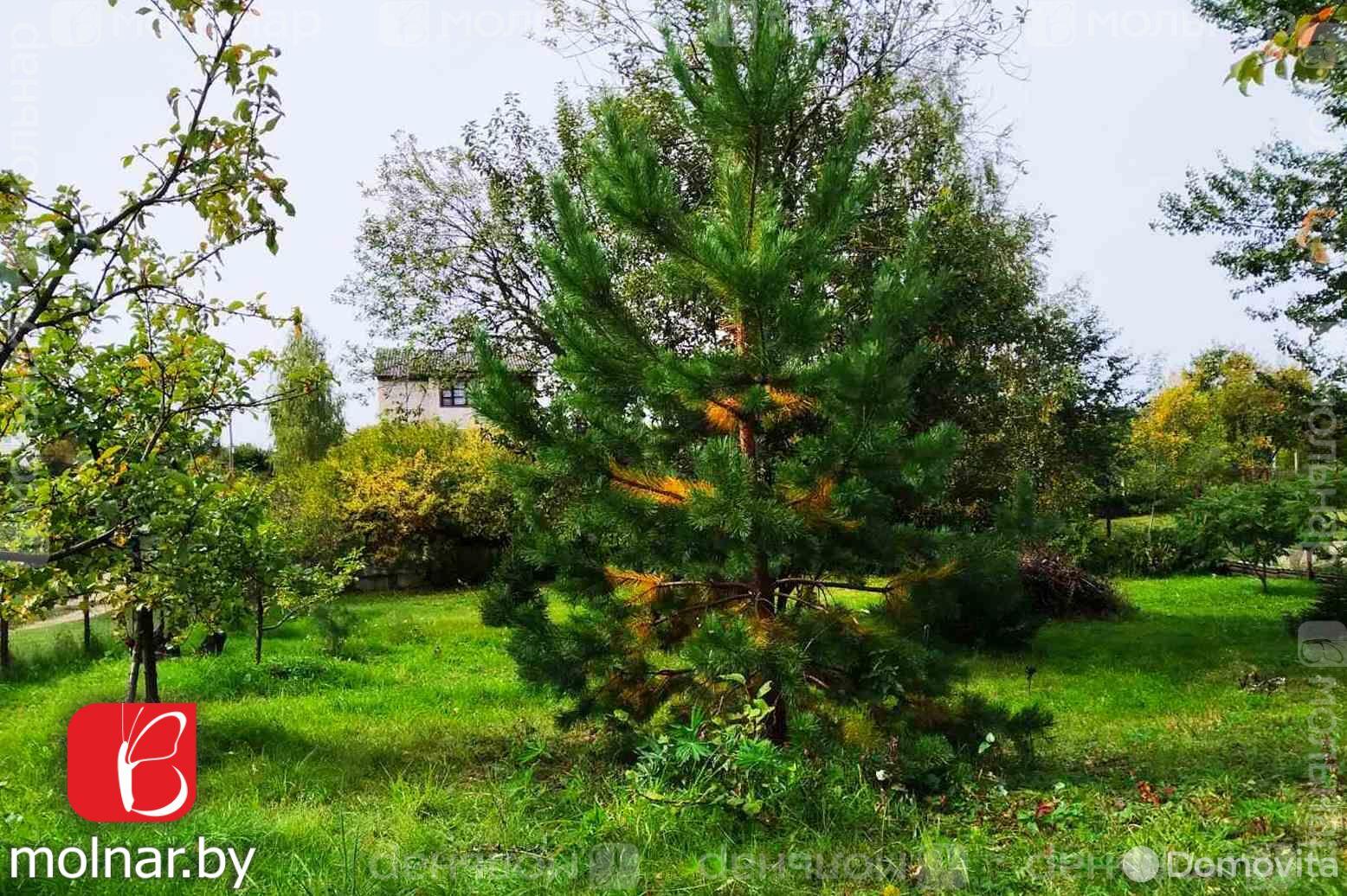 Купить 2-этажную дачу в Лесное Минская область, 27700USD, код 169788 - фото 28