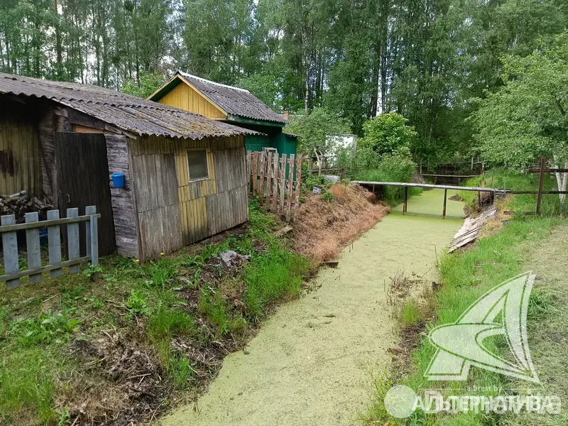 Купить земельный участок, 6.97 соток, Журавинка-83, Брестская область, 11500USD, код 570456 - фото 14