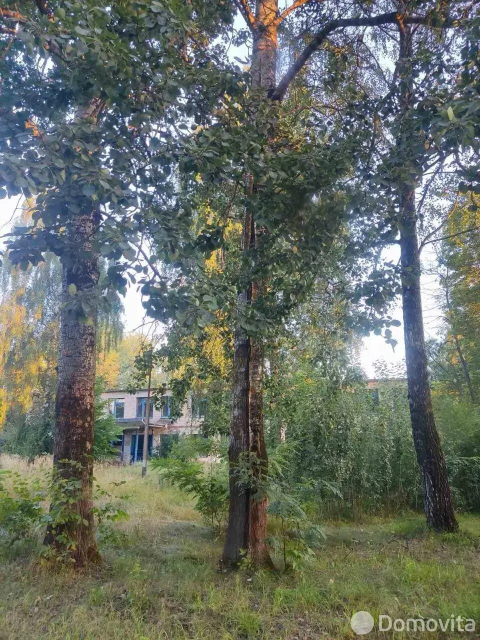 дом, Старая Буда, ул. Молодёжная, стоимость продажи 301 130 р.