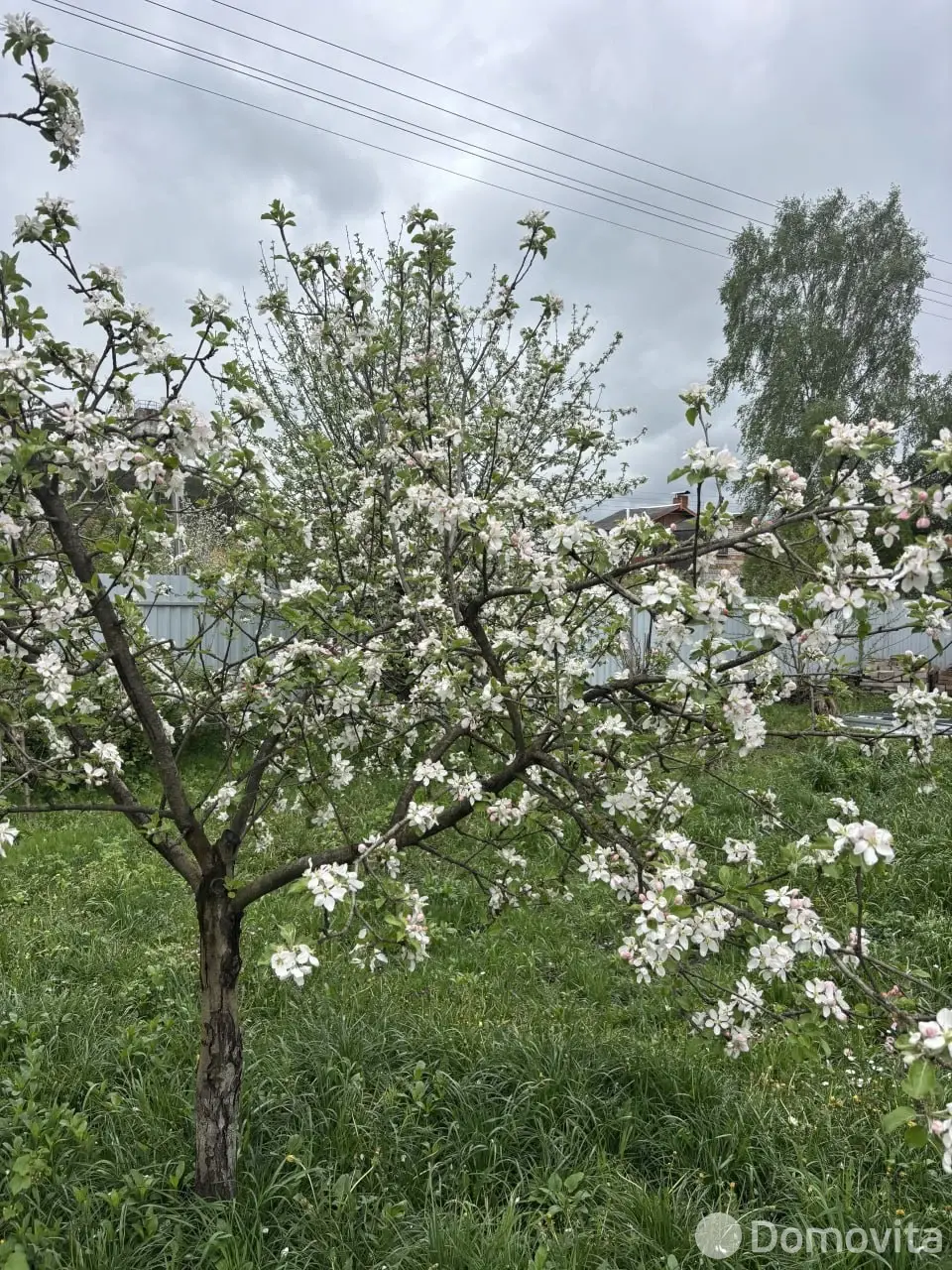 Продажа 2-этажной дачи в ЛЕСНОЕ Минского завода специнструмента и технологической оснастки Минская область, 12500USD, код 185796 - фото 16