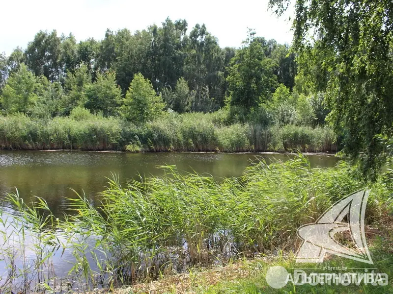 Купить 2-этажную дачу в Южное-ГАП №5 Брестская область, 120000USD, код 180198 - фото 28