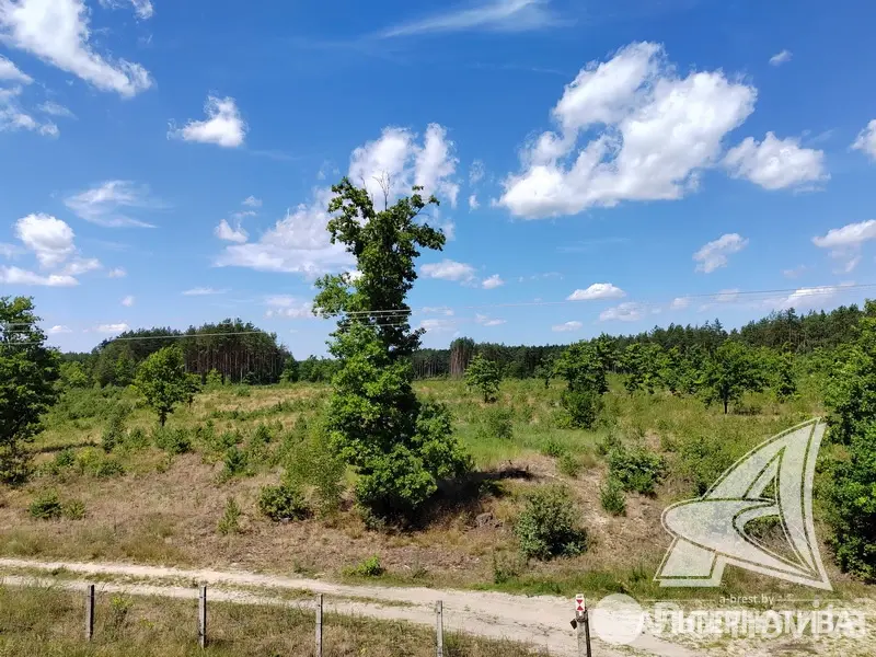 Купить 2-этажную дачу в Ольха-91 Брестская область, 37000USD, код 179149 - фото 30