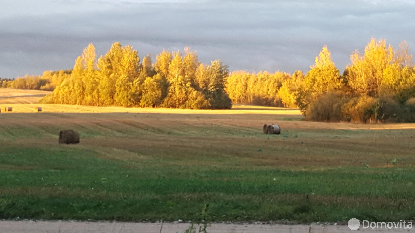 Продажа 1-этажной дачи в Инженер, Воложинский район Минская область, 22000USD, код 181735 - фото 11