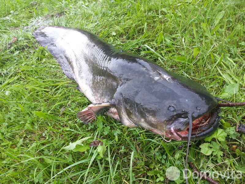 Купить помещение под сферу услуг в Колоднице, ул. Центральная, д. 108 - фото 25