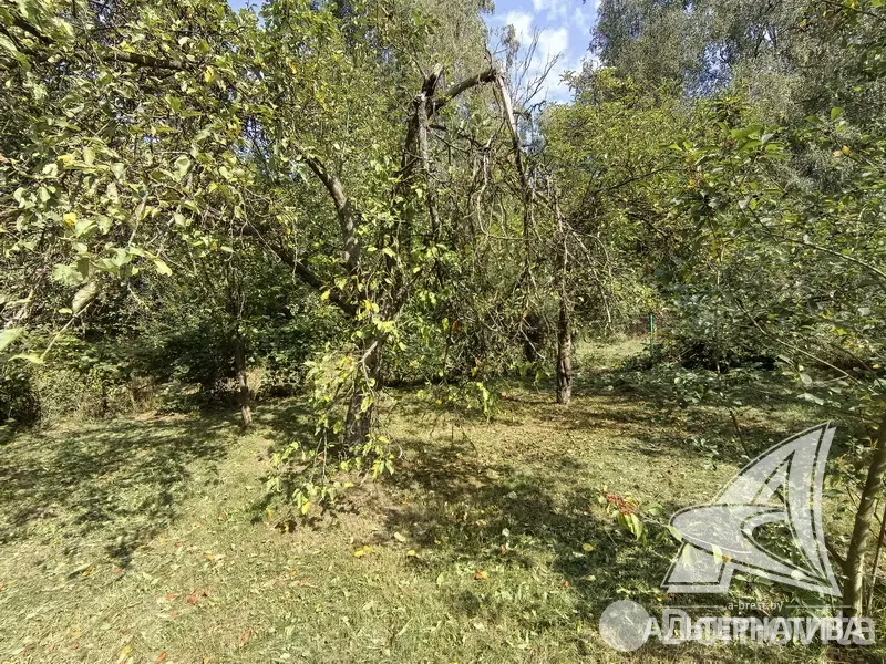 Продажа 2-этажной дачи в Поляна 10 Брестская область, 13500USD, код 184084 - фото 23